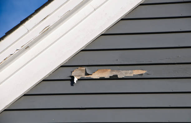 Best Demolition Debris Removal  in Southern Shores, NC